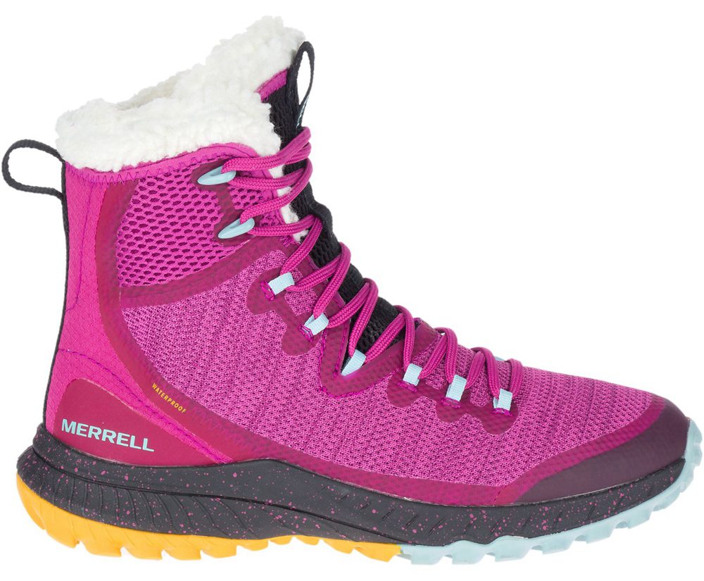 Kozaki Merrell Damskie Różowe - Bravada Knit Polar Waterproof - 653794-EUW